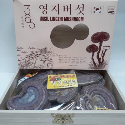  Nấm Linh Chi Tím IMSIL LINHZHI MUSHROOM hộp gỗ 1kg